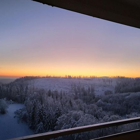 Appartement Zur Bergoase Mi Schwimmbad Hohegeiß Buitenkant foto