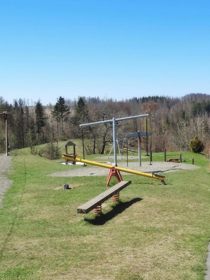 Appartement Zur Bergoase Mi Schwimmbad Hohegeiß Buitenkant foto