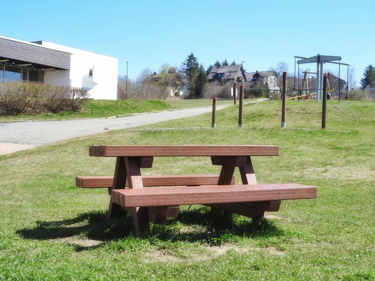Appartement Zur Bergoase Mi Schwimmbad Hohegeiß Buitenkant foto