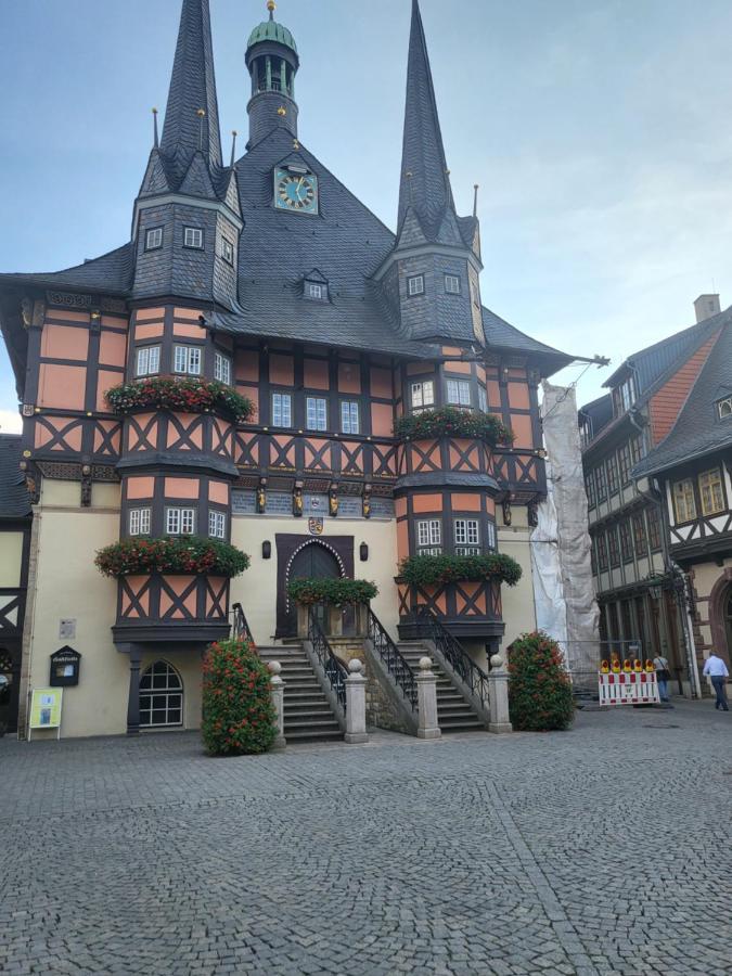 Appartement Zur Bergoase Mi Schwimmbad Hohegeiß Buitenkant foto