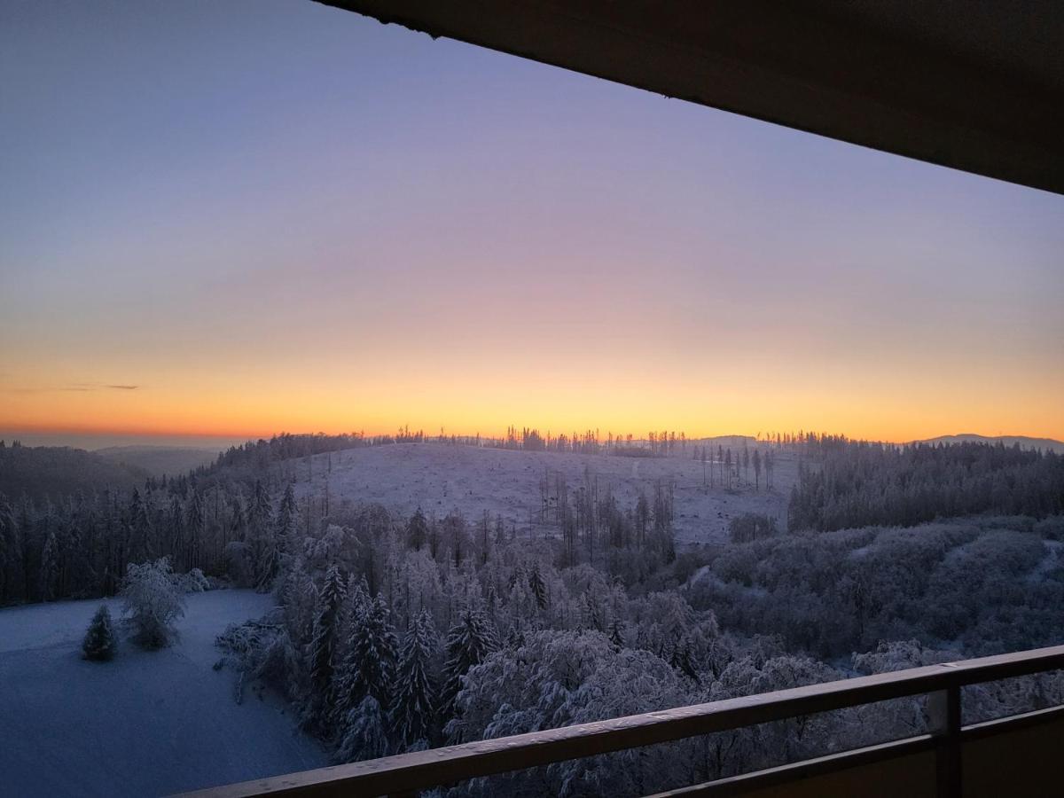 Appartement Zur Bergoase Mi Schwimmbad Hohegeiß Buitenkant foto