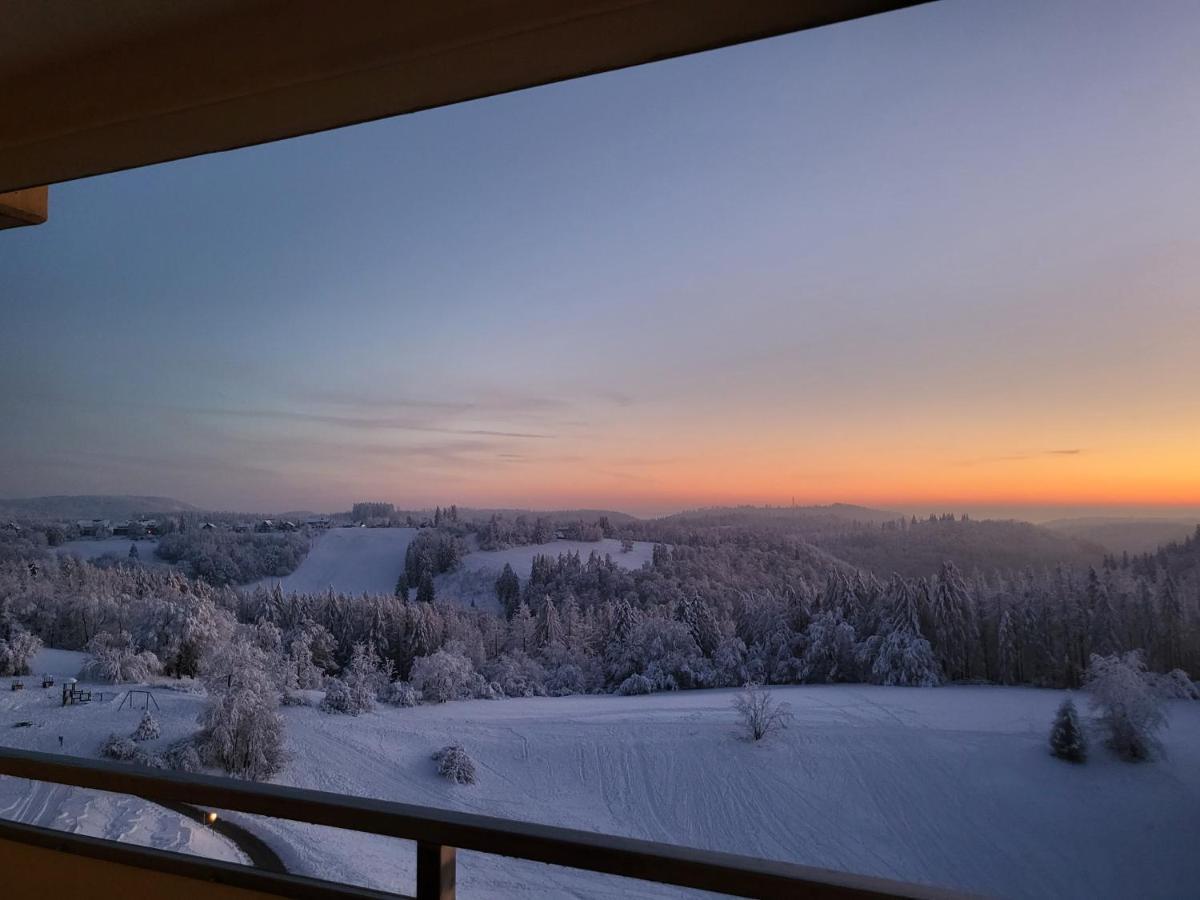 Appartement Zur Bergoase Mi Schwimmbad Hohegeiß Buitenkant foto